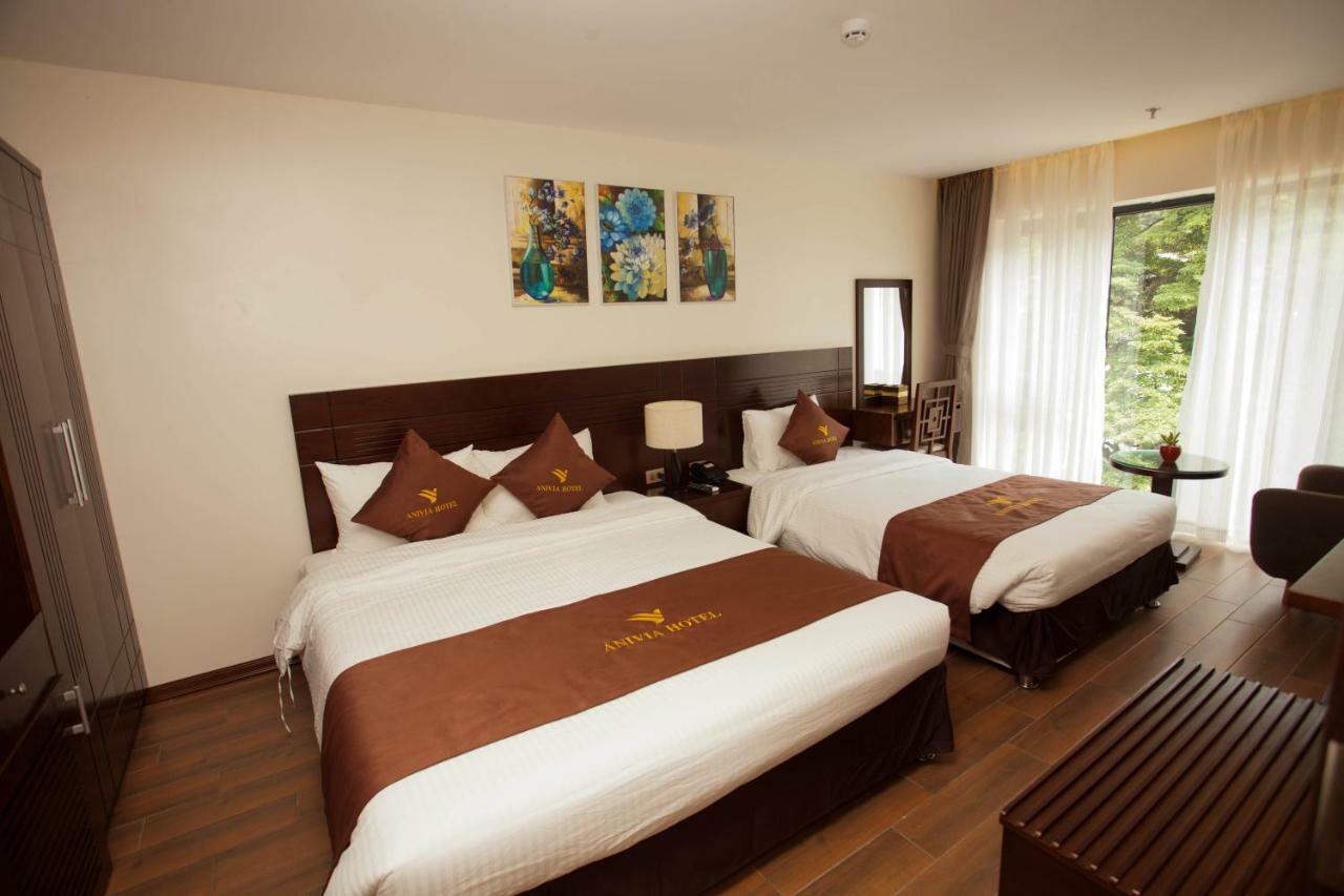 Anivia Tam Dao Hotel Son Dinh Extérieur photo